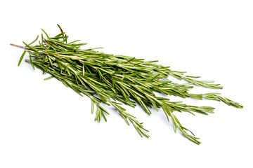 Fresh green sprig of rosemary
