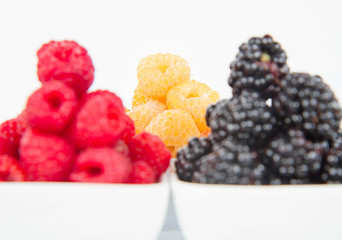 Raspberries and blackberries: bowls of fruit on white background