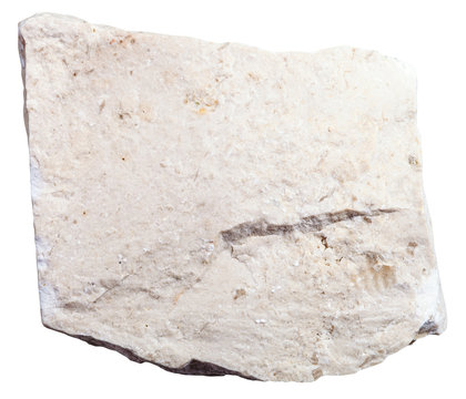 chemogenic Limestone mineral isolated on white