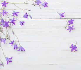 bluebell flowers om white wooden background