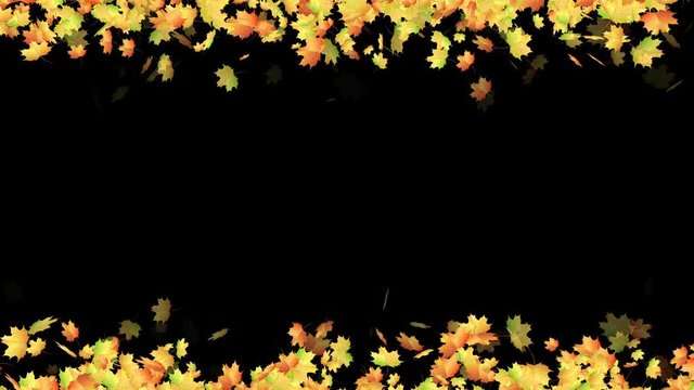Autumn maple leaves border with alpha mask. Looped animation