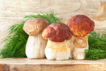 Crop of delicious porcini mushrooms on wooden background. Boletu