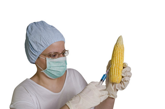 Chemist with syringe and corn isolated