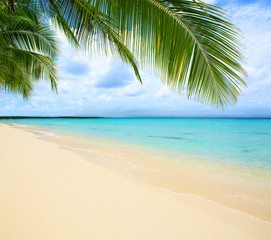 Fototapeta na wymiar Caribbean sea and palm leaves.