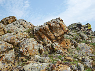 Cape hadarta