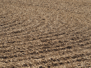 wood chips (soil)