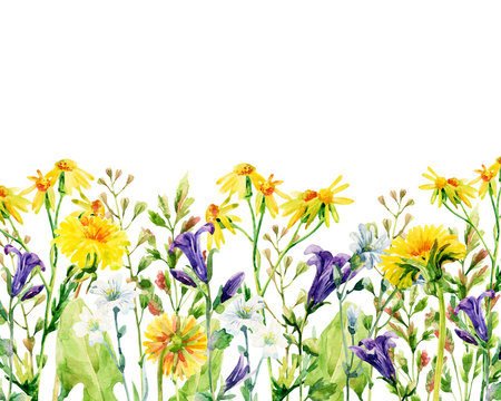 Meadow watercolor flowers card