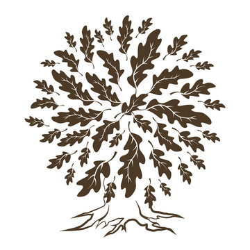 Beautiful brown oak tree silhouette isolated on white background. Web graphics modern vector sign. 
Premium quality illustration logo design concept.