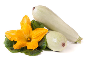 two zucchini with flower and leaf isolated on white background