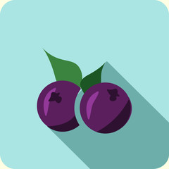 blueberry flat icon with long shadow