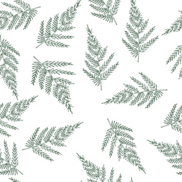 Seamless pattern with ferns. Unusual natural texture. Vector wallpaper with plants created for your design.