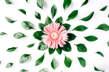 Pink gerbera daisy pattern on white background. Flat lay