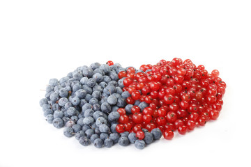 blueberry and red currant isolated