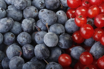 blueberry and red currant background 