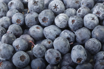 blueberries background