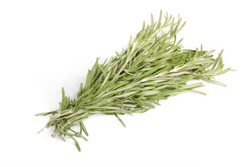 rosemary isolated