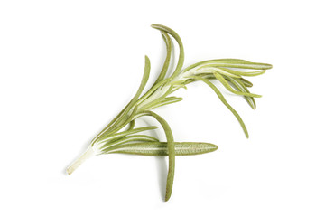 rosemary isolated