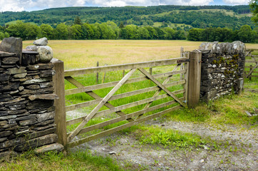 Fototapeta na wymiar Closed Wooden Gate in the Countryside