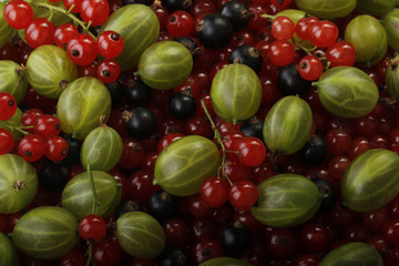 berries background