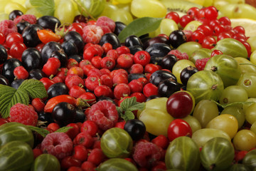 Fototapeta na wymiar berries background