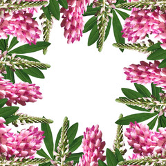 Beautiful summer background with pink lupine 