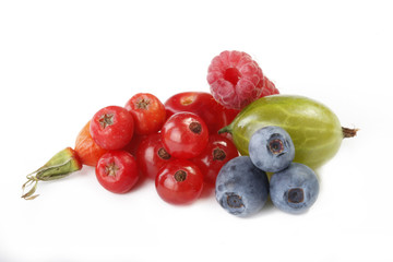 berries isolated