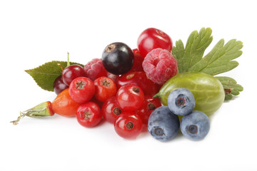 berries isolated