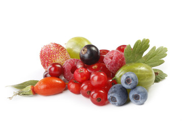 berries isolated