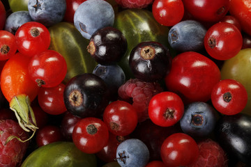 berries background