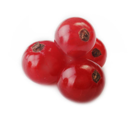 red currant isolated