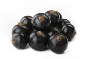 black currant isolated