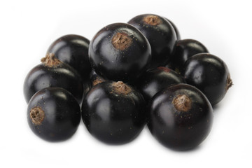 black currant isolated