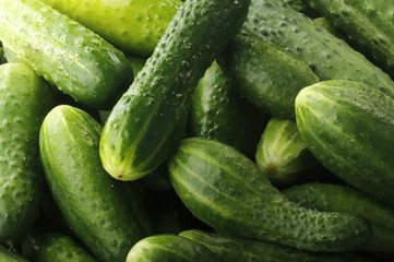 cucumbers background