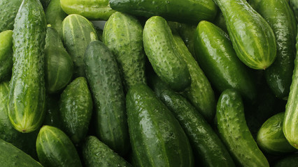 cucumbers background