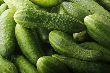 cucumbers background
