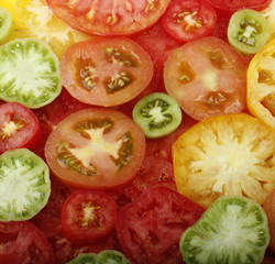 colorful tomatoes isolated