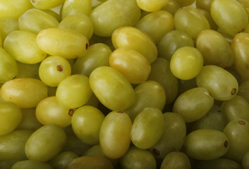 grapes background