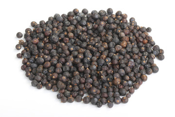 juniper berry isolated