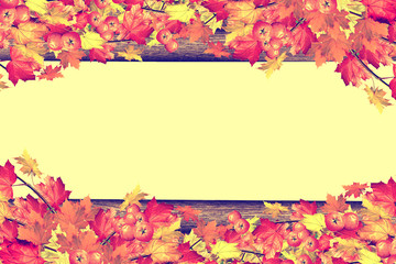 abstract background of autumn leaves