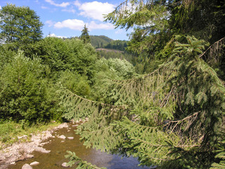 Fototapeta na wymiar Вид с моста на горную речку и окрестности над еловой веткой