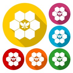 Honeycomb sign icon. Honey cells symbol