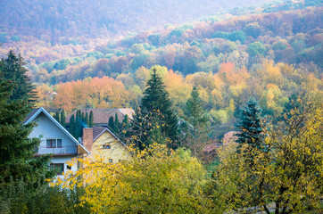 colorful autumn countryside