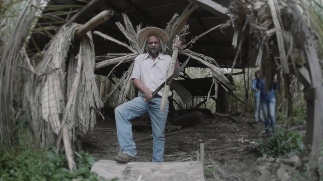 Hispanic man cutting with machete a sugar cane after harvest. Carries a basket of sugar cane on the forehead. Slow motion