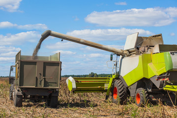 Fototapeta premium Combine harvester overloads sunflower seeds in a tractor trailer on the field, during the autumn harvest.