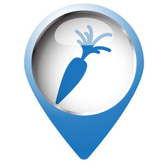 Map pin symbol with Carrot icon. Blue symbol on white background