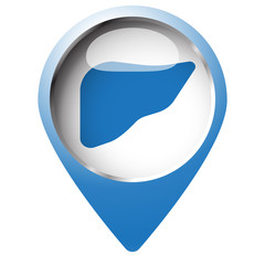 Map pin symbol with Liver icon. Blue symbol on white background.