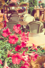 Fototapeta na wymiar Flowers in outdoor restaurant. Paris, France.