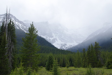 Obraz premium A lake on the Smith Dorrien Spray Trail in Kananaskis, Western Alberta Canada