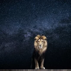 Papier Peint photo autocollant Lion Lion et le ciel étoilé, roi parmi les étoiles