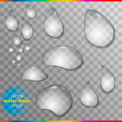 Pure clear water drops realistic set isolated vector illustration